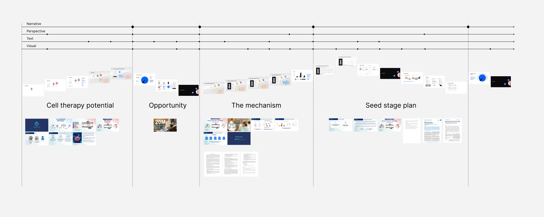Storyboard organizing the presentation into cell therapy potential, opportunity, mechanism, and seed-stage plan.